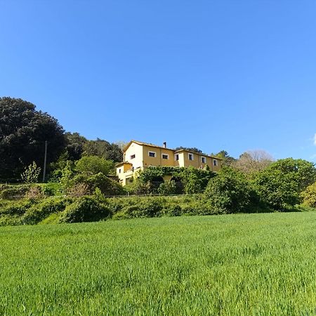 베살루 Mas Pitre B&B 외부 사진